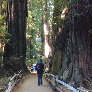 Meet your Posher, Brendan